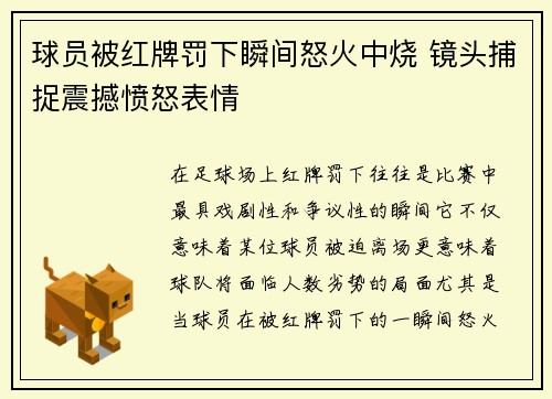 球员被红牌罚下瞬间怒火中烧 镜头捕捉震撼愤怒表情