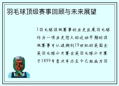 羽毛球顶级赛事回顾与未来展望